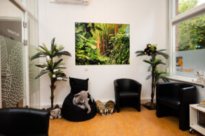 20221005-Neuroscan-Algemeen-07-web